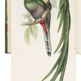 GOULD, John (1804-1881) - photo 2