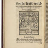 PARACELSUS, Theophrastus Philippus Aureolus Bombastus von Hohenheim (c.1493-1541) - photo 1