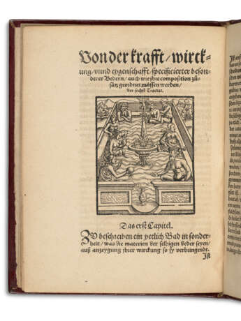 PARACELSUS, Theophrastus Philippus Aureolus Bombastus von Hohenheim (c.1493-1541) - photo 1