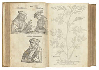 FUCHS, Leonhard (1501-1566)