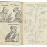 FUCHS, Leonhard (1501-1566) - Foto 1