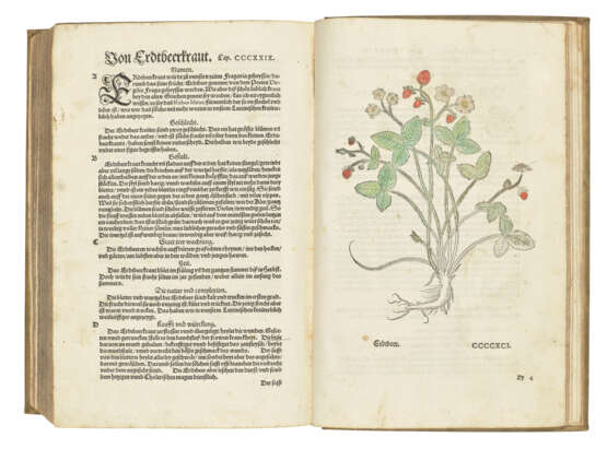 FUCHS, Leonhard (1501-1566) - Foto 2