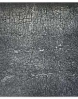 GIUSEPPE PENONE (B. 1947)