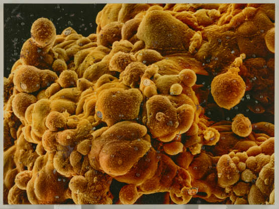 DAMIEN HIRST (B. 1965) - photo 2
