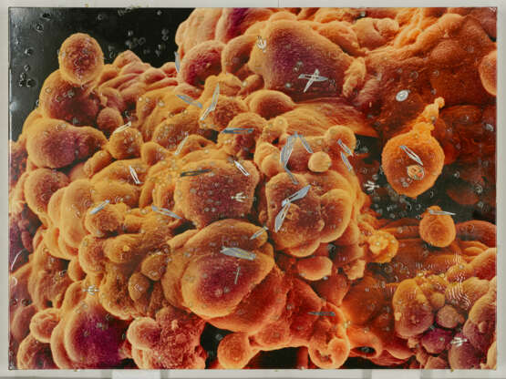 DAMIEN HIRST (B. 1965) - photo 3