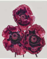 IRVING PENN (1917-2009)