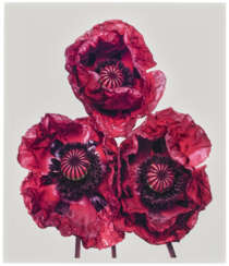 IRVING PENN (1917-2009)