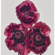 IRVING PENN (1917-2009) - Now at the auction