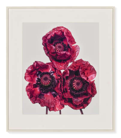 IRVING PENN (1917-2009) - Foto 2