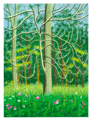 DAVID HOCKNEY (B. 1937) - Foto 1