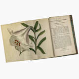 William Curtis, and follower. The Botanical Magazine - photo 4