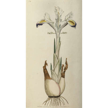 William Curtis, and follower. The Botanical Magazine - photo 6