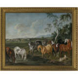 Johann Georg von Hamilton, Nachfolge. The imperial stud farm in Adelsberg-Postojna - фото 2