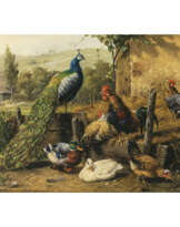 Carl Jutz d. Ä.. Peacock with cock, chickens and ducks
