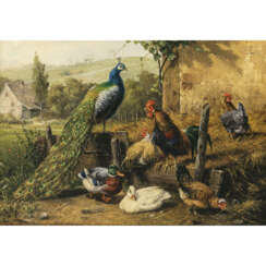 Carl Jutz d. Ä.. Peacock with cock, chickens and ducks