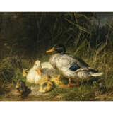 Carl Jutz d. Ä.. Duck family with ducklings by the water - photo 1