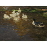 Alexander Koester. Ducks on a pond - photo 1