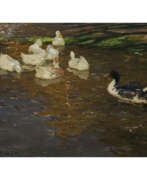 Alexander Koester. Alexander Koester. Ducks on a pond