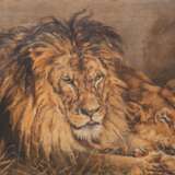 "Liegendes Löwenpaar", Öl/ Lw., 1 Hinterlegung, unsign., 49x73 cm, ungerahmt - photo 1