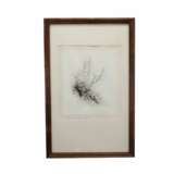 Gravure Engraving 19th century - Foto 1