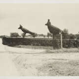 Georg Herold. Ohne Titel - Foto 1