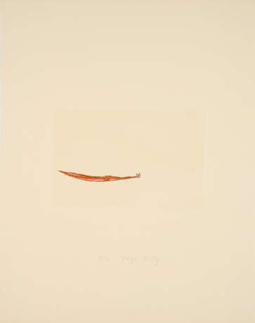 Joseph Beuys. Meerengel die Seegurke (Aus: Suite Zirkulationszeit) - Foto 1