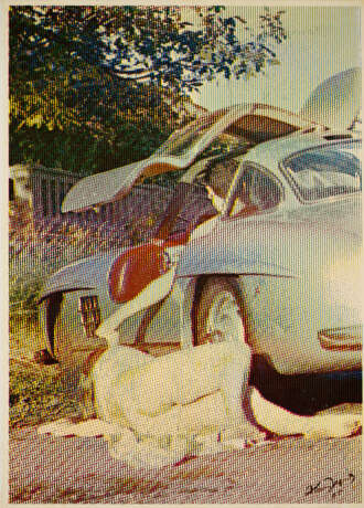 Alain Jacquet. Ohne Titel - photo 1