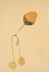Rosemarie Trockel und Curtis Anderson. Ohne Titel