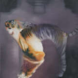 Stephan Kaluza. Ohne Titel - photo 1