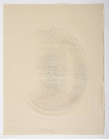 Fautrier, Jean - photo 16