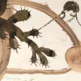 Schleime, Cornelia - photo 1