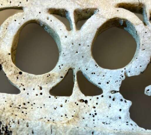 Shell Plaque (Barava) from Solomon Islands 19th Century Sea shell 19th century - photo 2