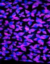 Butterflies Butterflies