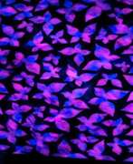 Technique mixte. Butterflies