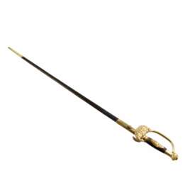 Officer&amp;39;s sword. France 19th century. 