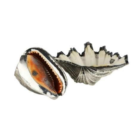 Paire de coquilles d&eacute;coratives de Buccellati. Italie du 20&egrave;me si&egrave;cle. Sea shell 20th century - Foto 4