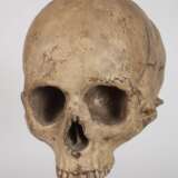 Memento Mori Doppelschädel - Foto 3