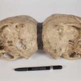 Memento Mori Doppelschädel - Foto 6