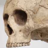Memento Mori Doppelschädel - Foto 8