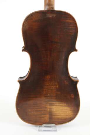 Violine Hopf - Foto 3