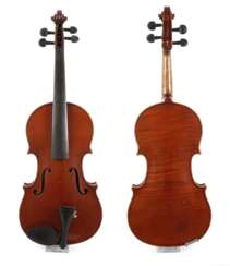 Violine