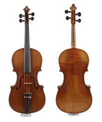 Violine