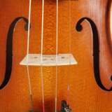 Violine - photo 5