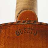 Violine - photo 8