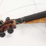 Violine - Foto 6