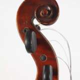 Violine - Foto 8