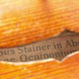 Violine - photo 9