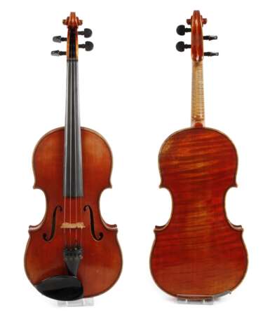 Violine Wilfer - фото 1
