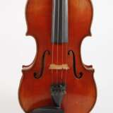 Violine Wilfer - фото 2