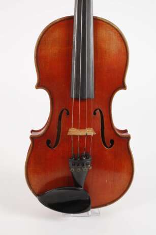 Violine Wilfer - фото 2